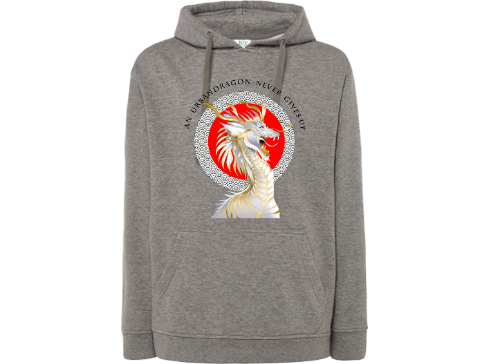 Sudadera Unisex Never Gives UP - Imagen 7